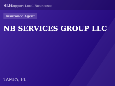 NB SERVICES GROUP LLC — Insurance Agent in TAMPA, FL