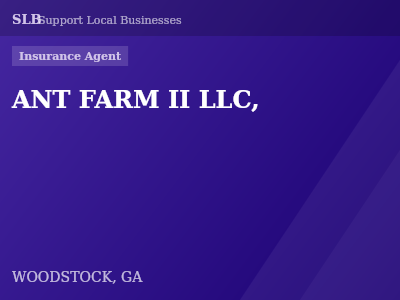 ANT FARM II LLC, — Insurance Agent in WOODSTOCK, GA