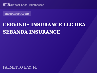 CERVINOS INSURANCE LLC DBA SEBANDA INSURANCE — Insurance Agent in PALMETTO BAY, FL