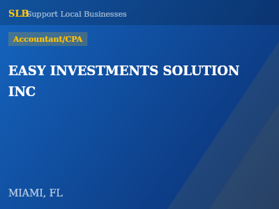 EASY INVESTMENTS SOLUTION INC — Accountant/CPA in MIAMI, FL