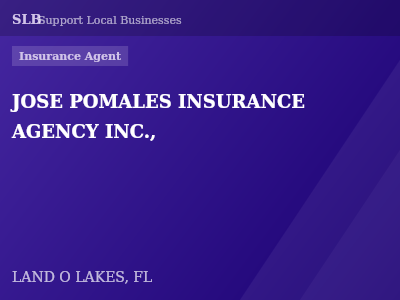 JOSE POMALES INSURANCE AGENCY INC., — Insurance Agent in LAND O LAKES, FL
