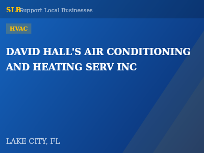 DAVID HALL'S AIR CONDITIONING AND HEATING SERV INC — HVAC in LAKE CITY, FL