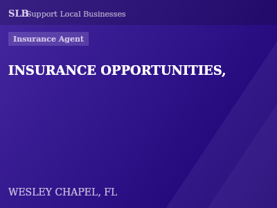 INSURANCE OPPORTUNITIES, — Insurance Agent in WESLEY CHAPEL, FL