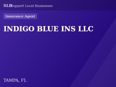 INDIGO BLUE INS LLC — Insurance Agent in TAMPA, FL