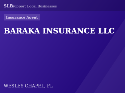 BARAKA INSURANCE LLC — Insurance Agent in WESLEY CHAPEL, FL