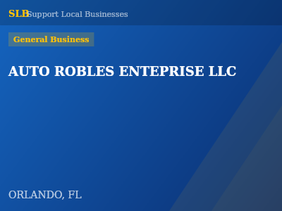 AUTO ROBLES ENTEPRISE LLC — General Business in ORLANDO, FL
