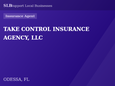 TAKE CONTROL INSURANCE AGENCY, LLC — Insurance Agent in ODESSA, FL