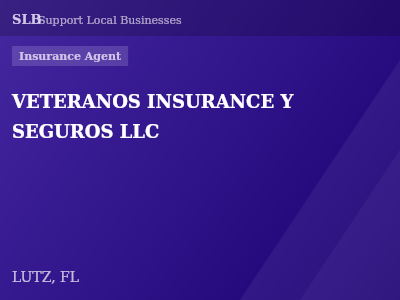 VETERANOS INSURANCE Y SEGUROS LLC — Insurance Agent in LUTZ, FL