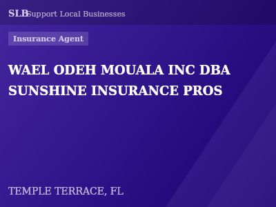 WAEL ODEH MOUALA INC DBA SUNSHINE INSURANCE PROS — Insurance Agent in TEMPLE TERRACE, FL