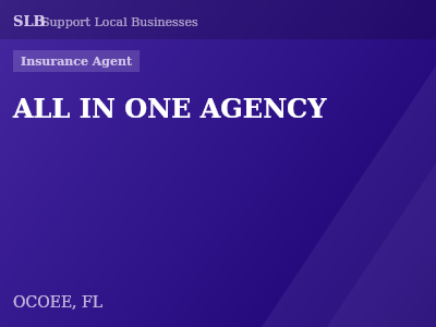ALL IN ONE AGENCY — Insurance Agent in OCOEE, FL