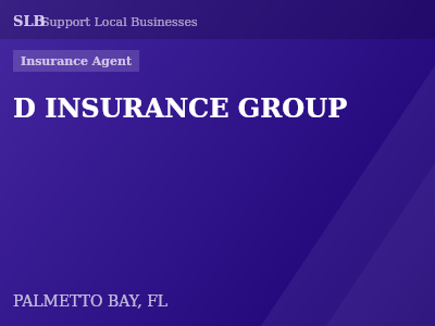 D INSURANCE GROUP — Insurance Agent in PALMETTO BAY, FL