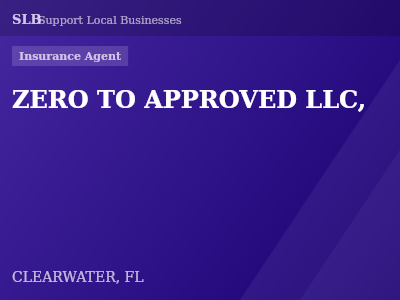 ZERO TO APPROVED LLC, — Insurance Agent in CLEARWATER, FL