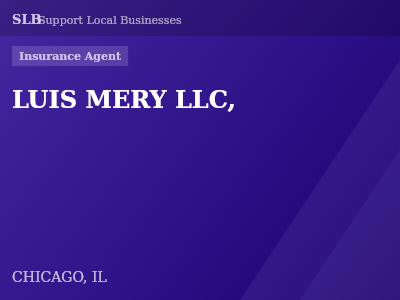 LUIS MERY LLC, — Insurance Agent in CHICAGO, IL