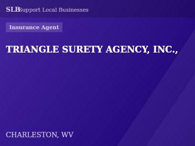 TRIANGLE SURETY AGENCY, INC., — Insurance Agent in CHARLESTON, WV