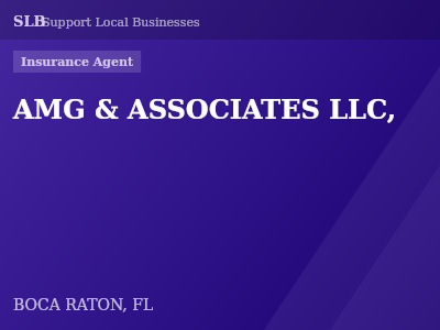 AMG & ASSOCIATES LLC, — Insurance Agent in BOCA RATON, FL