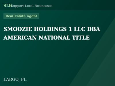 SMOOZIE HOLDINGS 1 LLC DBA AMERICAN NATIONAL TITLE — Real Estate Agent in LARGO, FL