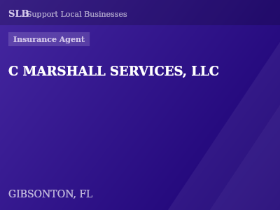 C MARSHALL SERVICES, LLC — Insurance Agent in GIBSONTON, FL