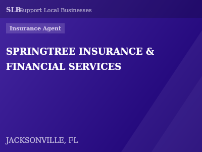 SPRINGTREE INSURANCE & FINANCIAL SERVICES — Insurance Agent in JACKSONVILLE, FL