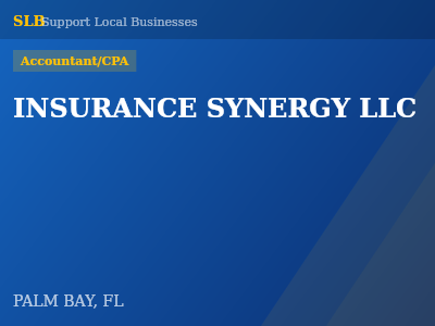 INSURANCE SYNERGY LLC — Accountant/CPA in PALM BAY, FL