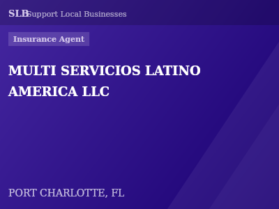 MULTI SERVICIOS LATINO AMERICA LLC — Insurance Agent in PORT CHARLOTTE, FL
