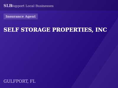 SELF STORAGE PROPERTIES, INC — Insurance Agent in GULFPORT, FL