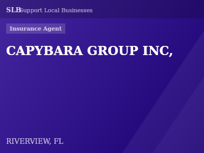 CAPYBARA GROUP INC, — Insurance Agent in RIVERVIEW, FL