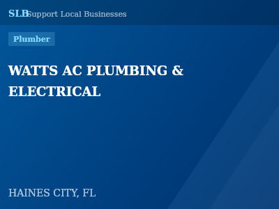 WATTS AC PLUMBING & ELECTRICAL — Plumber in HAINES CITY, FL