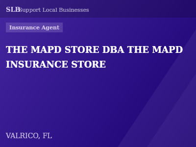 THE MAPD STORE DBA THE MAPD INSURANCE STORE — Insurance Agent in VALRICO, FL