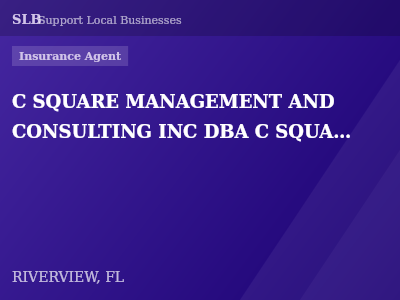 C SQUARE MANAGEMENT AND CONSULTING INC DBA C SQUARE MANAGEMENT — Insurance Agent in RIVERVIEW, FL