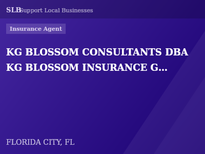 KG BLOSSOM CONSULTANTS DBA KG BLOSSOM INSURANCE GROUP — Insurance Agent in FLORIDA CITY, FL