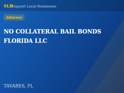 NO COLLATERAL BAIL BONDS FLORIDA LLC — Attorney in TAVARES, FL