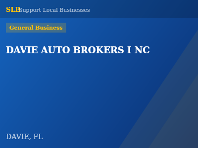 DAVIE AUTO BROKERS I NC — General Business in DAVIE, FL