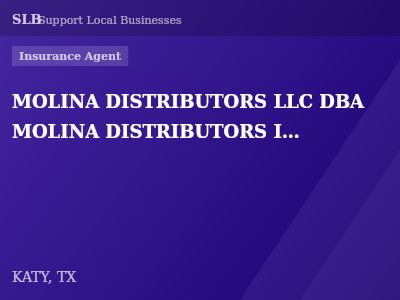 MOLINA DISTRIBUTORS LLC DBA MOLINA DISTRIBUTORS INSURANCE AGENCY — Insurance Agent in KATY, TX