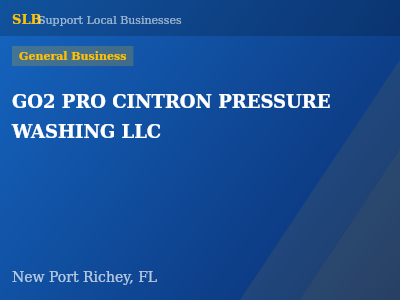 GO2 PRO CINTRON PRESSURE WASHING LLC — General Business in New Port Richey, FL