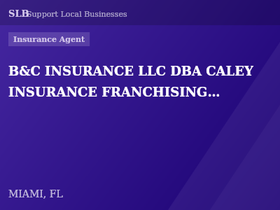 B&C INSURANCE LLC DBA CALEY INSURANCE FRANCHISING LLC — Insurance Agent in MIAMI, FL