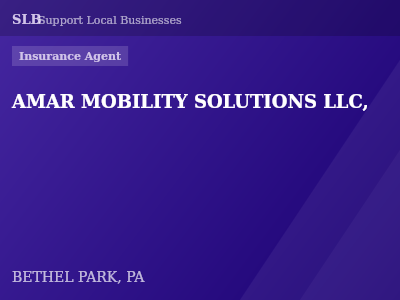 AMAR MOBILITY SOLUTIONS LLC, — Insurance Agent in BETHEL PARK, PA