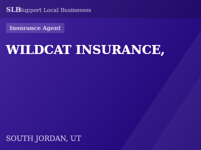 WILDCAT INSURANCE, — Insurance Agent in SOUTH JORDAN, UT