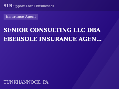 SENIOR CONSULTING LLC DBA EBERSOLE INSURANCE AGENCY — Insurance Agent in TUNKHANNOCK, PA