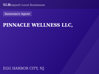 PINNACLE WELLNESS LLC, — Insurance Agent in EGG HARBOR CITY, NJ