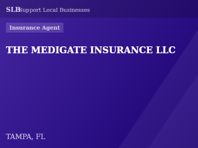THE MEDIGATE INSURANCE LLC — Insurance Agent in TAMPA, FL