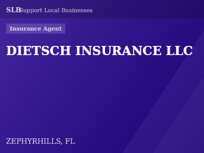 DIETSCH INSURANCE LLC — Insurance Agent in ZEPHYRHILLS, FL