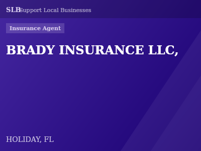 BRADY INSURANCE LLC, — Insurance Agent in HOLIDAY, FL