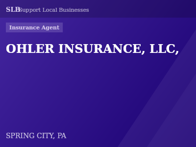 OHLER INSURANCE, LLC, — Insurance Agent in SPRING CITY, PA