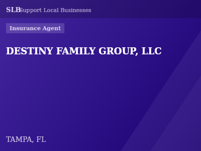 DESTINY FAMILY GROUP, LLC — Insurance Agent in TAMPA, FL