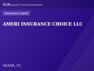 AMERI INSURANCE CHOICE LLC — Insurance Agent in MIAMI, FL
