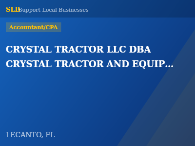 CRYSTAL TRACTOR LLC DBA CRYSTAL TRACTOR AND EQUIPMENT DELAND DBA CRYSTAL TRACTOR AND EQUIPMENT LEESBURG DBA CRYSTAL TRACTOR AND EQUIPMENT KISSIMMEE — Accountant/CPA in LECANTO, FL