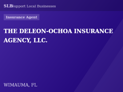 THE DELEON-OCHOA INSURANCE AGENCY, LLC. — Insurance Agent in WIMAUMA, FL