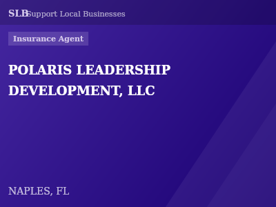 POLARIS LEADERSHIP DEVELOPMENT, LLC — Insurance Agent in NAPLES, FL