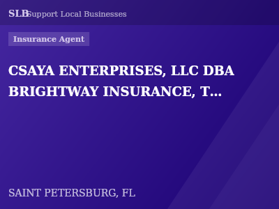 CSAYA ENTERPRISES, LLC DBA BRIGHTWAY INSURANCE, THE CHRISTINA SAYAMPHONE AGENCY — Insurance Agent in SAINT PETERSBURG, FL