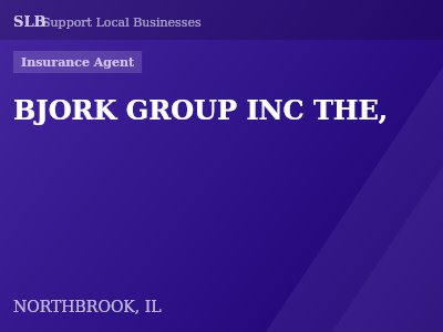 BJORK GROUP INC THE, — Insurance Agent in NORTHBROOK, IL
